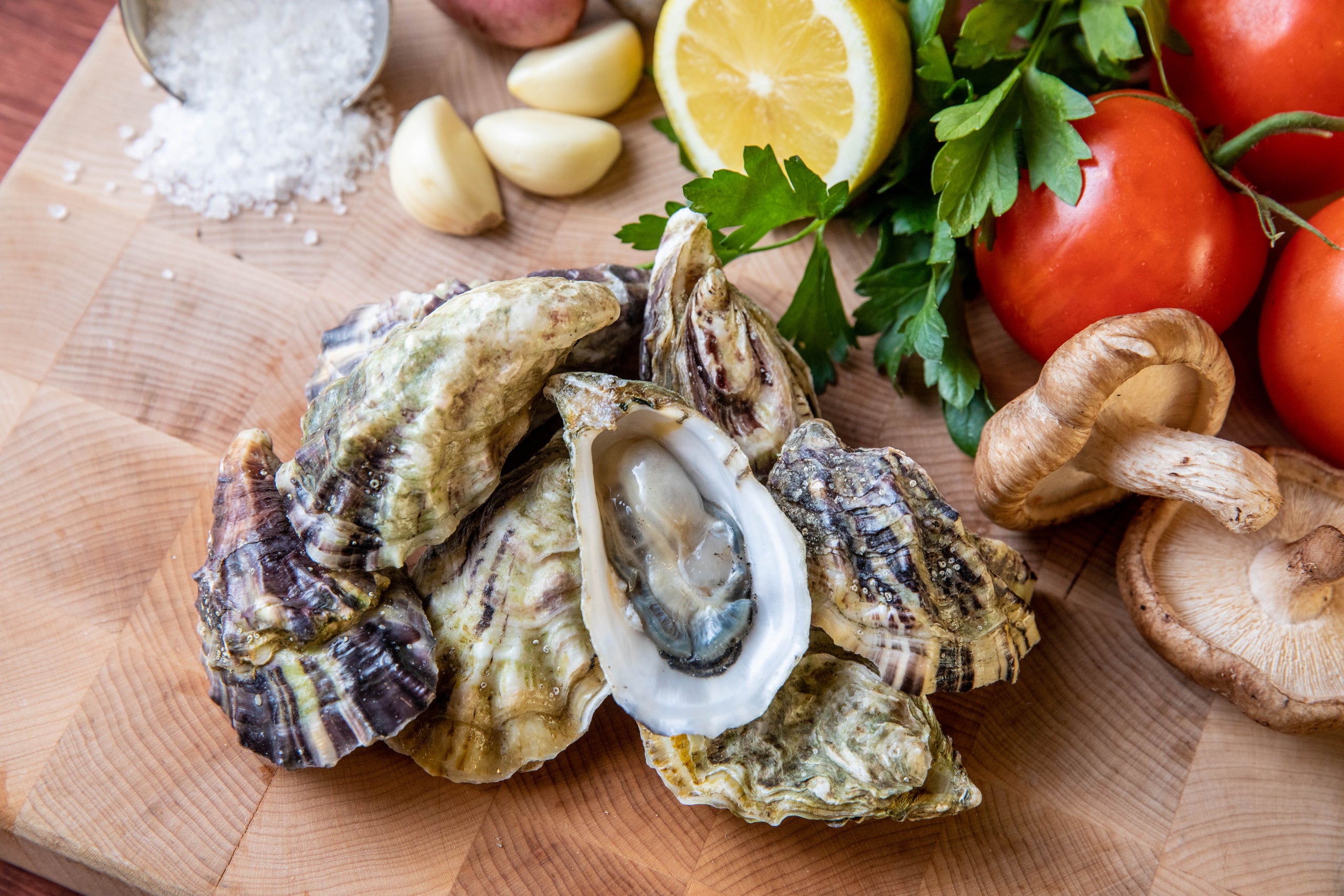 Oysters - unshucked
